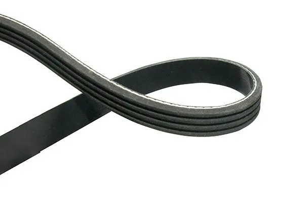 V-ribbed Belt